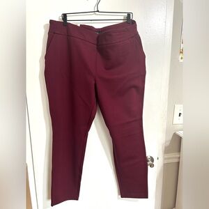 NWT Dalia Women’s Plus Size Pant